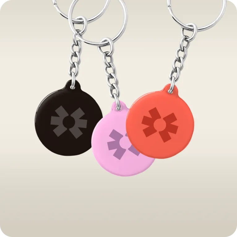 Blinq Keychain